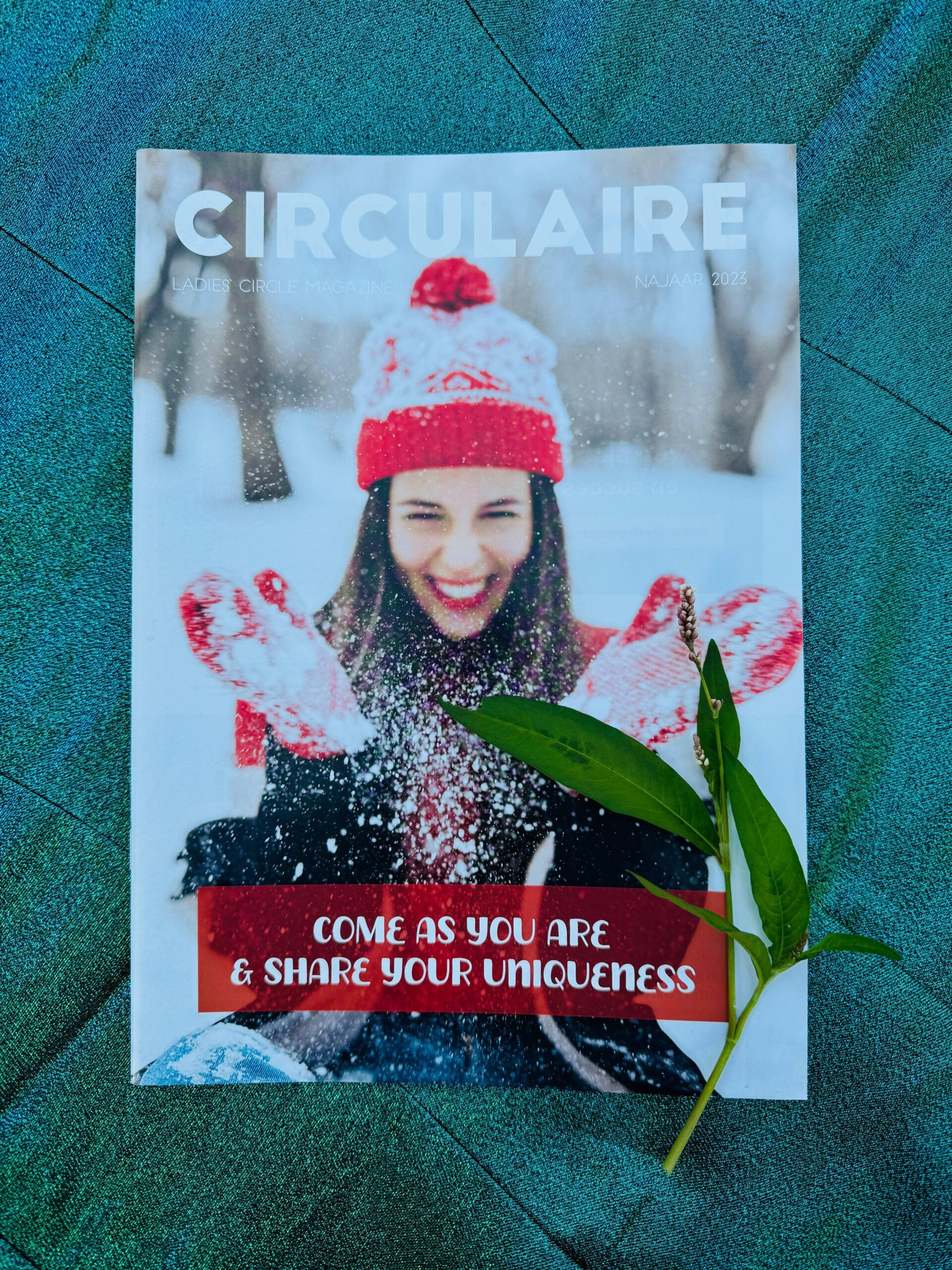 Circulaire - meerdere jaargangen - Afbeelding 5