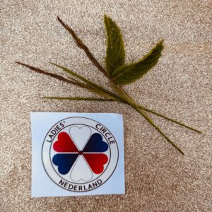 Autosticker LCNL